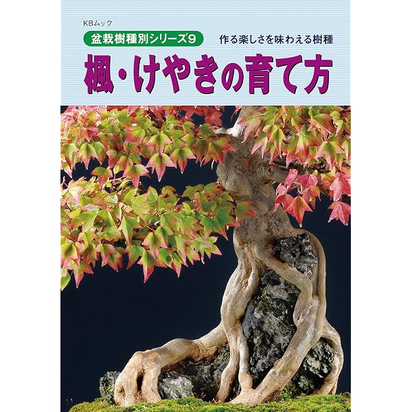 Amazon.co.jp: 匠の技 盆栽技術集: 名匠の卓越した技が盆栽を創る (KB